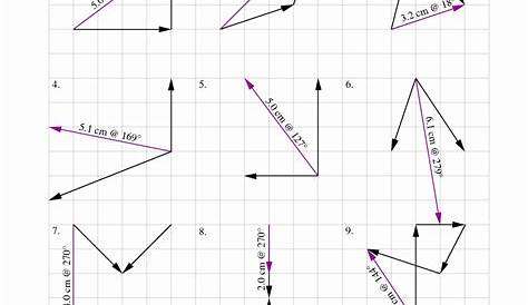 Introduction To Vectors Worksheet