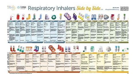 Respiratory Inhalers-at-a-Glance and Other Posters in Our Online Store