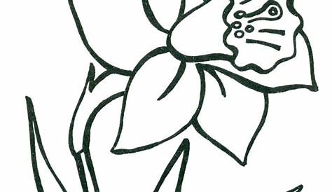 Flower drawing, Flower drawing design, Flower coloring pages