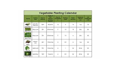 Printable Gardening Calendar - CalendarLabs