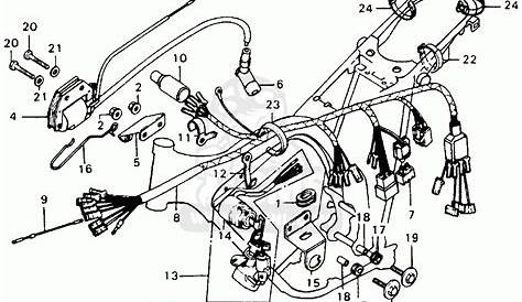 Honda Ruckus Wiring Diagram - Cadician's Blog