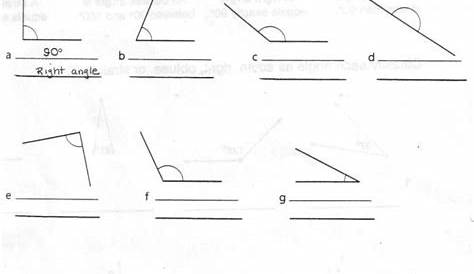 types of angles worksheet with answers