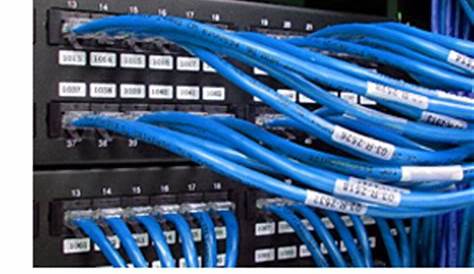 Structured Business Network Ethernet Cabling / Wiring Installer Office
