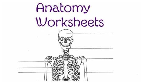 Anatomy Worksheets For Kids