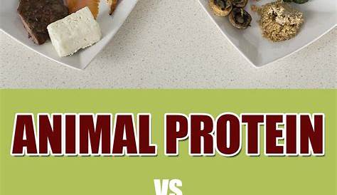 Animal Proteins vs. Plant Proteins: How Do They Compare?