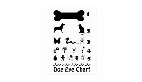 puppy eye color chart