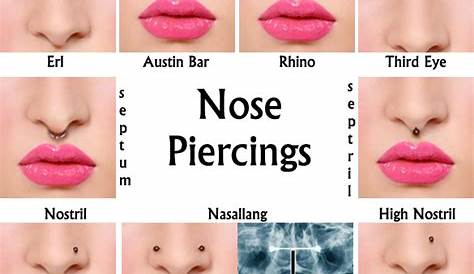 Types of Nose Piercings - Sacramento Nose Piercing