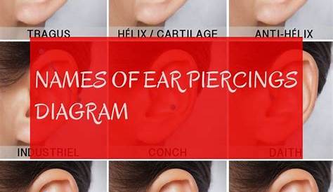 ear piercings chart aftercare