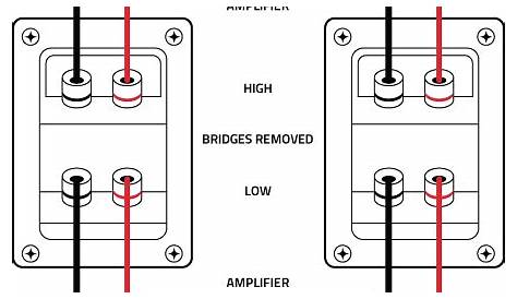 Bi Amp Wiring Diagram