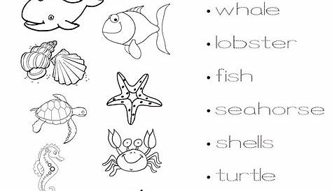 Sea Animal Counting Worksheet For Kindergarten