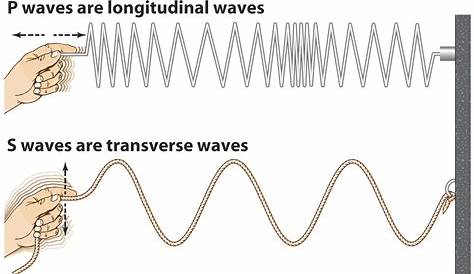 examples of a longitudinal wave