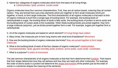 Biomolecule Review Worksheet with answers - Name Date: Professor