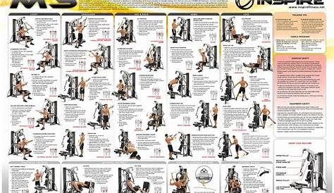 weider home gym exercise chart pdf