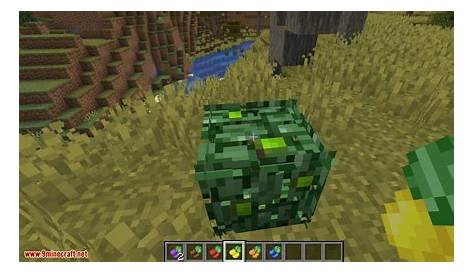 Berry Bushes Mod 1.15.2/1.14.4 (Randomly Spawn Berry Bushes with