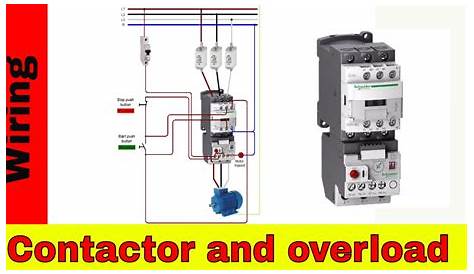 Hager Contactor Wiring Diagram Single Phase | Electrical Wiring