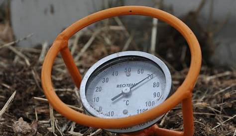 ground temperature for planting vegetables