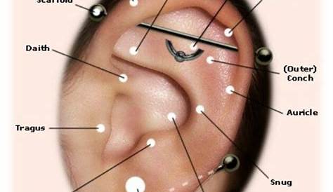 Ear Piercing Chart. Wanting the auricle! | :Piercings: | Pinterest