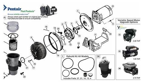 Pentair Challenger Pool Pump Parts