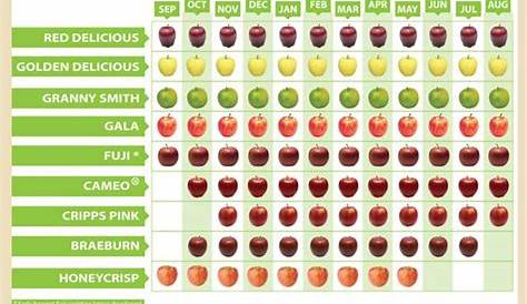 types of apples list with pictures | There's also a chart that tells