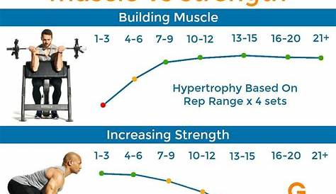 weight lifting reps chart