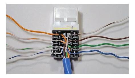 wiring ethernet wall plates