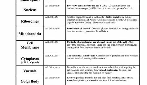 Cell Organelles And Their Functions Worksheet Answers — db-excel.com