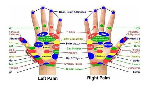 Acupressure points on hands. | Health & Well-Being | Pinterest | Reflexology, Fingers and