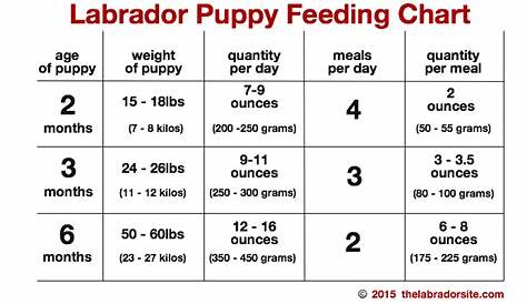 Newfoundland Puppy Feeding Chart