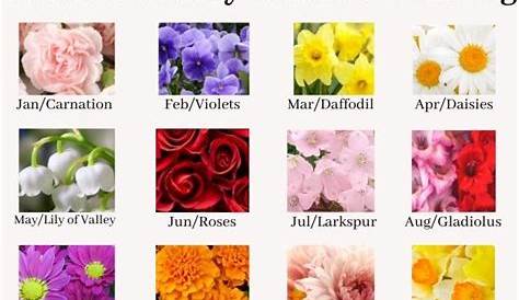 Birth Flowers by Month and Meaning