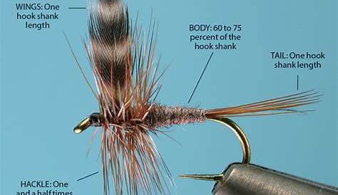 Fly Fishing Flies Size Chart - Picture of Fishing