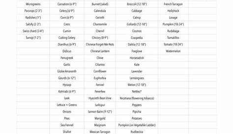 plant spacing chart pdf