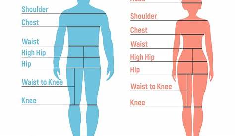 How to Use a Body Measurement Chart + Printable for Men & Women