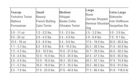 Boxer Dog Weight Chart Kg