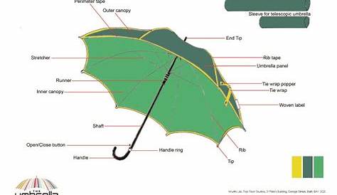 diagram of an umbrella
