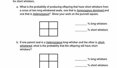 punnett square worksheets answer key