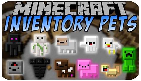 Minecraft Inventory Pets mod Showcase 1.7.10 - YouTube