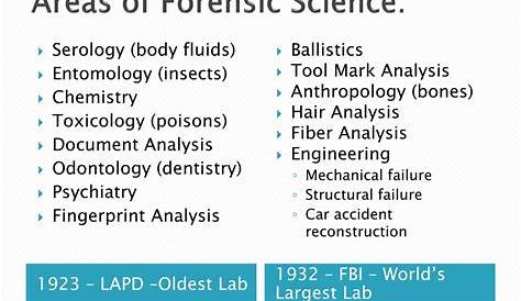 subfields of forensic science