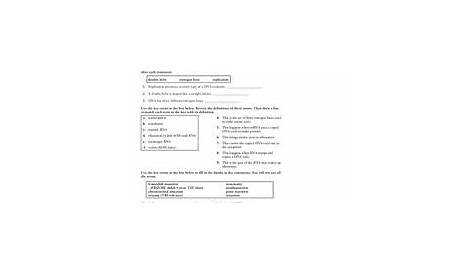 Genes and Chromosomes Worksheet for 9th - Higher Ed | Lesson Planet
