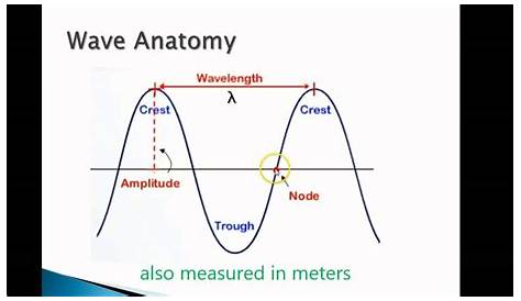 Waves Review 1: Anatomy of the Transverse Wave - YouTube
