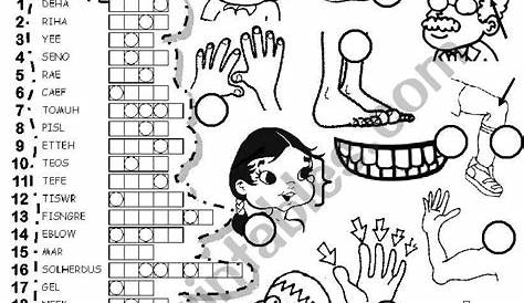 THE BODY PUZZLE - ESL worksheet by Im Lety