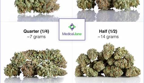 How Much Is an Ounce of Weed? | Weed Measurements & Costs in Ontario Blogs