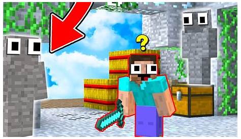 THE IMPOSSIBLE MINECRAFT CAMO TROLL! (Minecraft Trolling) - YouTube