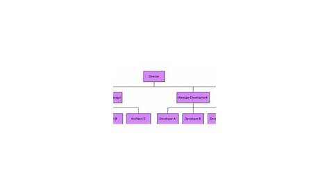 functional org chart template