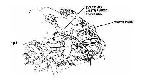 engine - 95 blazer evap can purge solenoid valve to evap purge pressure