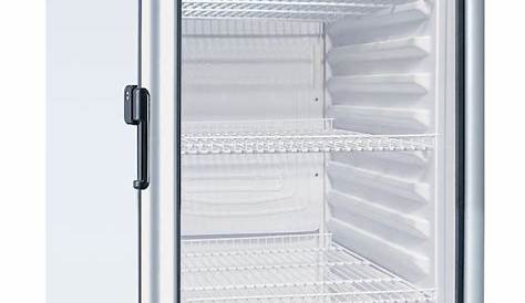 Premium Levella 6.5-cu ft 1-Door Merchandiser Commercial Refrigerator (Silver) in the Commercial