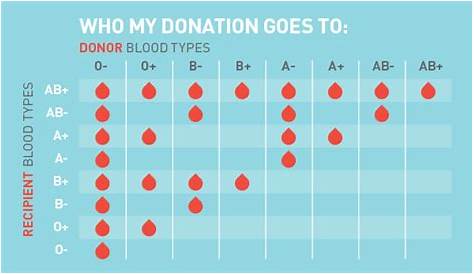 blood type result chart