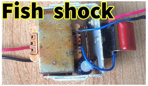 Electric Fish Shocker Circuit Diagram