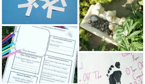 Super Cool Environmental Science Activities for Kids