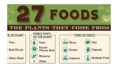 27 Foods and the Plants They Come From [Infographic]