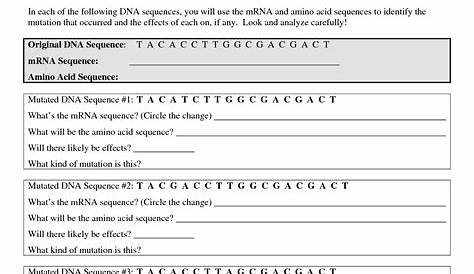 18 Mutations Worksheet Answer Key Practice / worksheeto.com